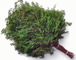 
			Как запарить веник из можжевельника		