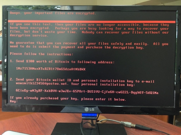 Как защититься от вируса Петя (Petya.A)