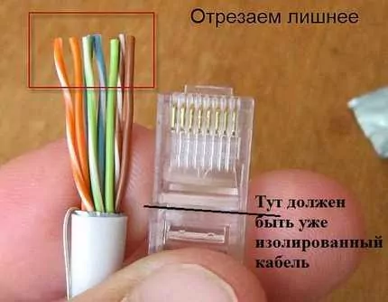 Компьютерная розетка: виды, категории, правила расположения и технология подключения
