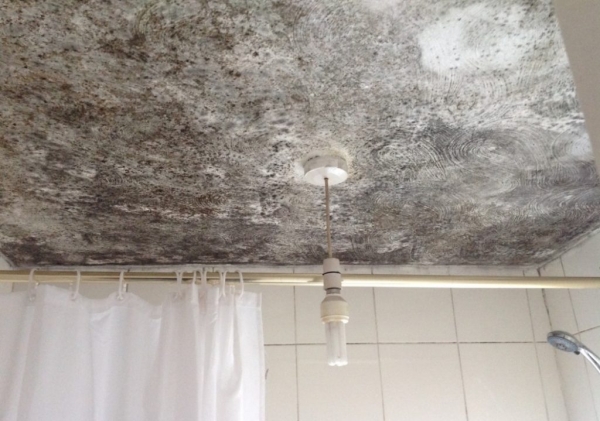 Отчего появляется конденсат на потолке в ванной и как это исправить