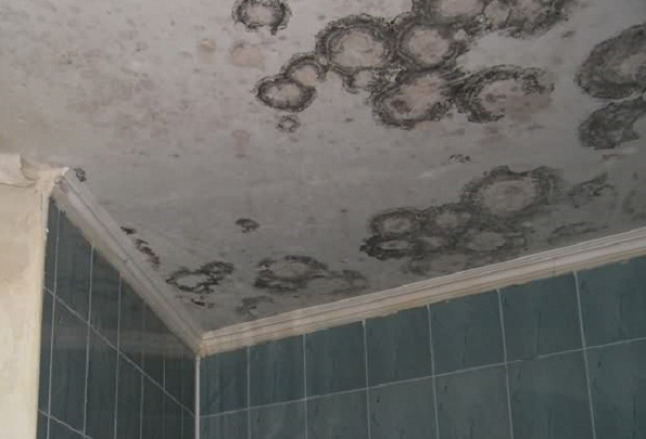 Отчего появляется конденсат на потолке в ванной и как это исправить