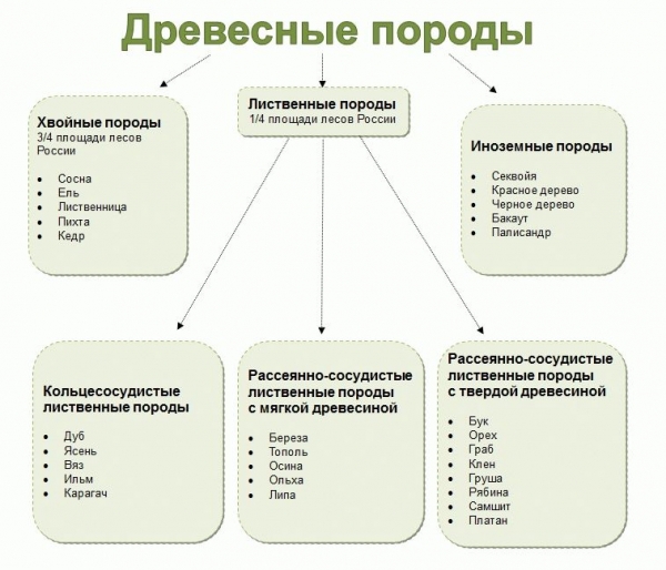 
			Отделка русских бань		