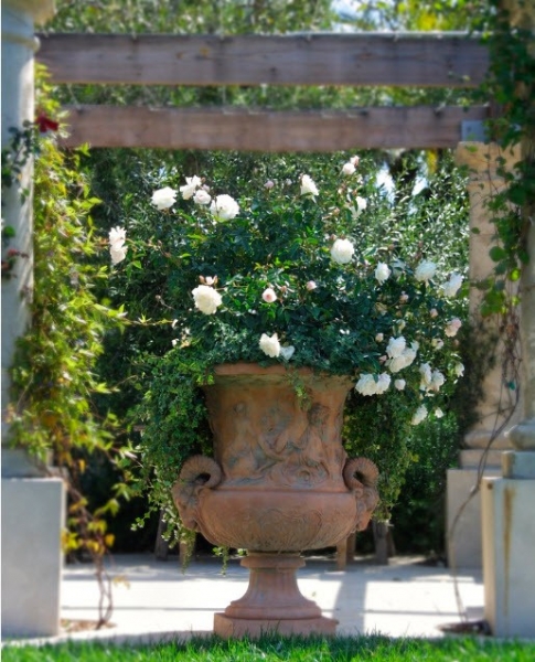 	Уличные вазоны для цветов: роскошный декор садового участка				